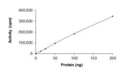 Sino Biological&nbsp;Recombinant Human FGFR2 Protein (K659N, GST Tag), Active
